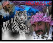 الصورة الرمزية محمد صلاح الدين