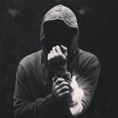 الصورة الرمزية امير الغرباء