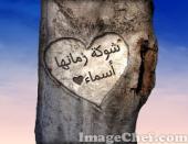 الصورة الرمزية شوكة زمانها